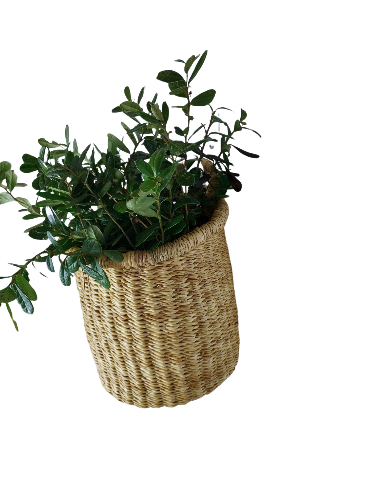 small bolga hanging basket with loop