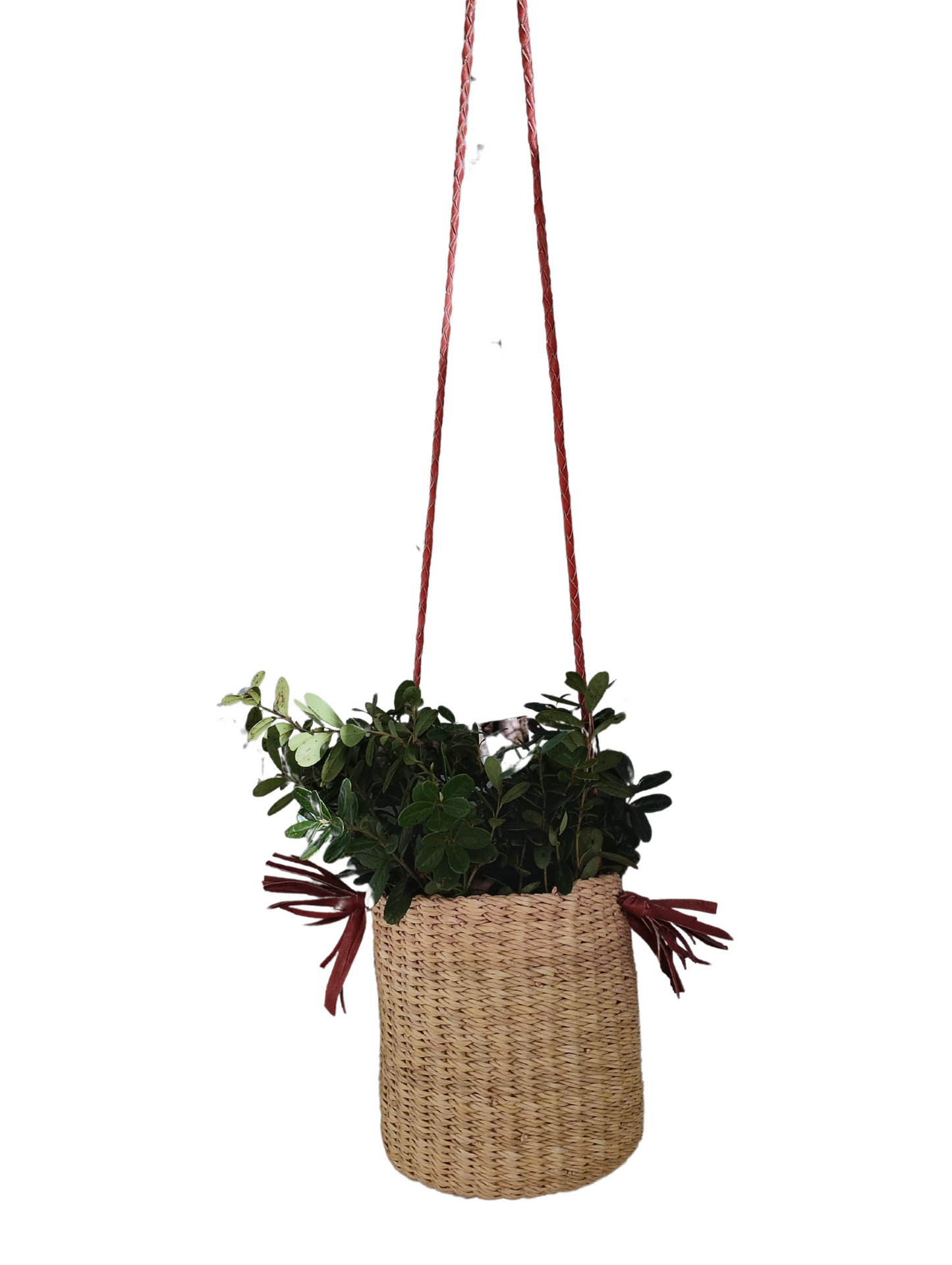 Hanging bolga basket