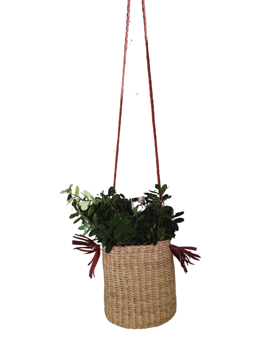 Woven hanging basket for plants boho Nordic living room decor