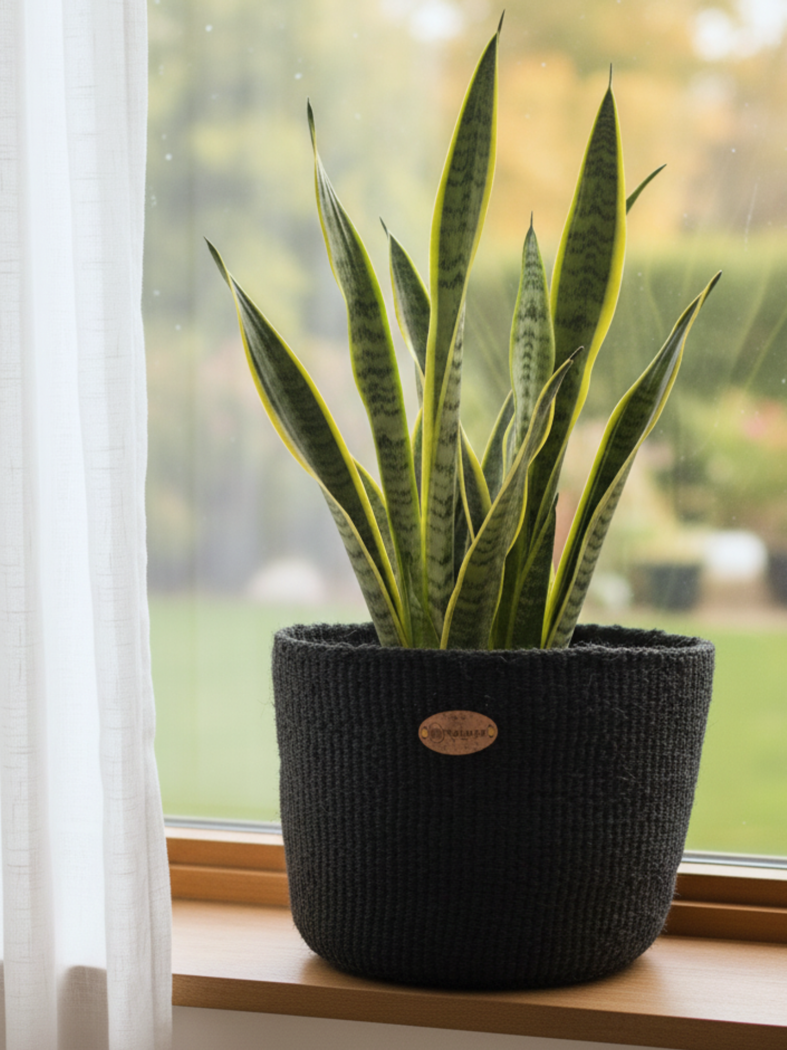 Black woven sisal basket small boho Nordic home storage ethical artisan Kenya